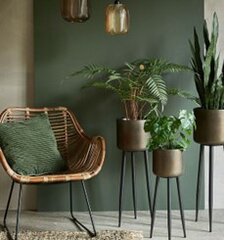 pinterest kép1 pinterest kép1