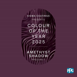 Colour of the Year 2025 Amethyst Shadow